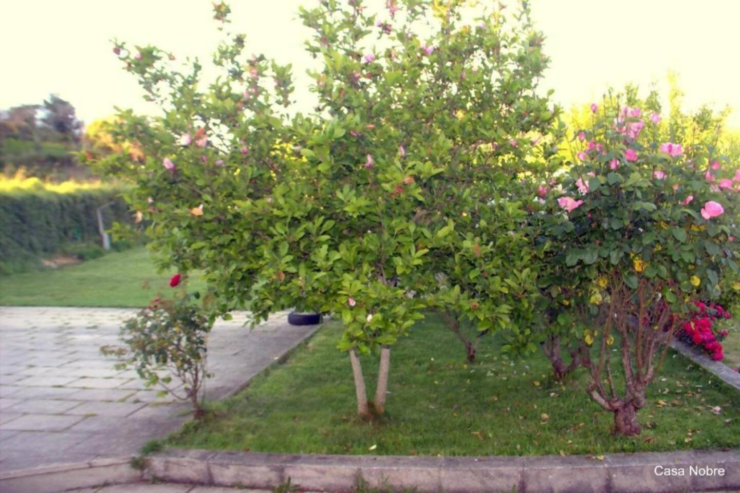 Retiro Na Natureza Casa Com Piscina Digueifel Exteriör bild